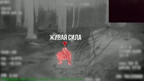 Ukraine war combat footage 10/11/25