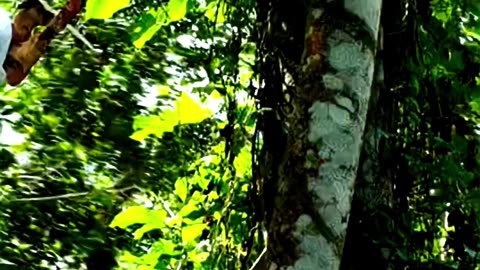 He's crazy #xxx #xander #returnofxander