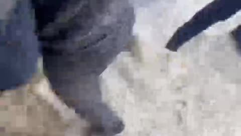 Volunteer in the Ukrainian army