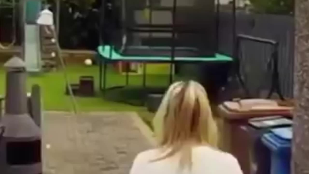 Dogs on the Run Are the Most Dangerous 🐕⚠️ | Shocking Animal Behavior