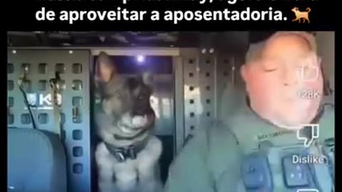 Nine years of loyalty courage and service.Today the police dog hangs up his uniform and says goodbye