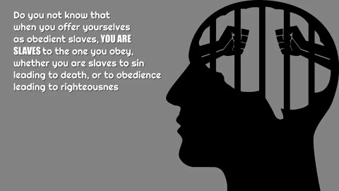 Everything is a Scripted Movie