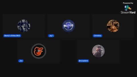 02/01/26 Beeta's Kitties VOD: "For the bored and the brave 😻"