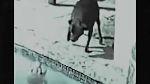 😱💥 Terrifying Moment Caught on Camera! Is This a Ghost? | TheHauntingHour