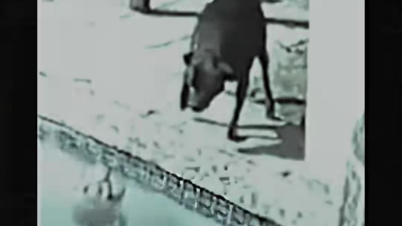 😱💥 Terrifying Moment Caught on Camera! Is This a Ghost? | TheHauntingHour