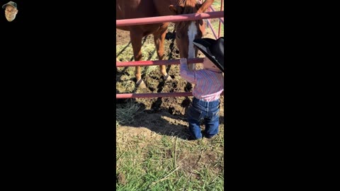 2025-10-12 Krystian21 Channel Posts