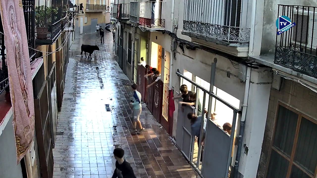 VACAS 10oct FESTES DEL ROSER 2025