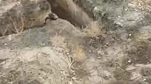 Ukraine war combat footage 10/7/25