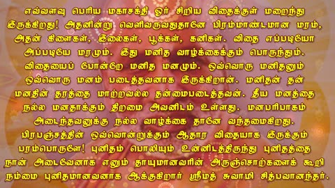 November 12 | THE SEED | Daily Divine Digest