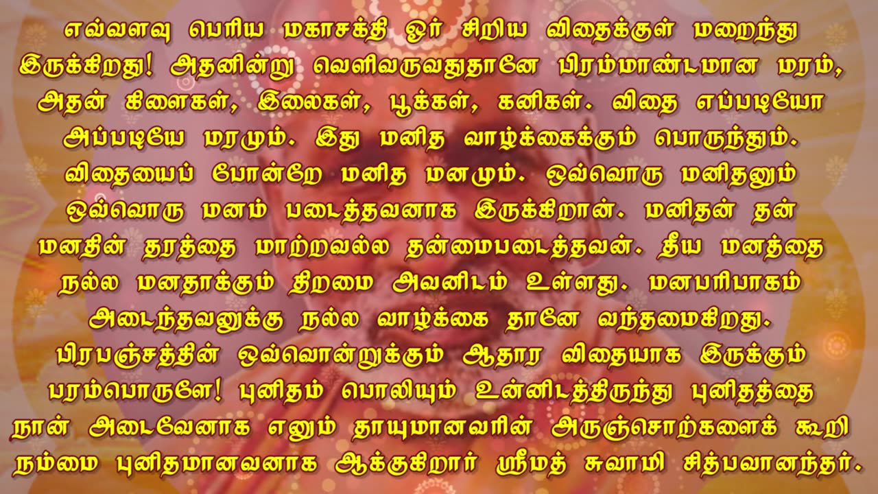 November 12 | THE SEED | Daily Divine Digest