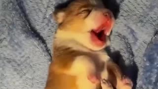 Woe Day 98. I am in the ark. Waiting for GOD to open the Door for a spring/summer Pentecost rapture