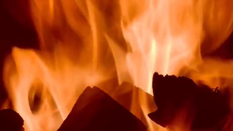 Daily Horoscope | Aries 🌟