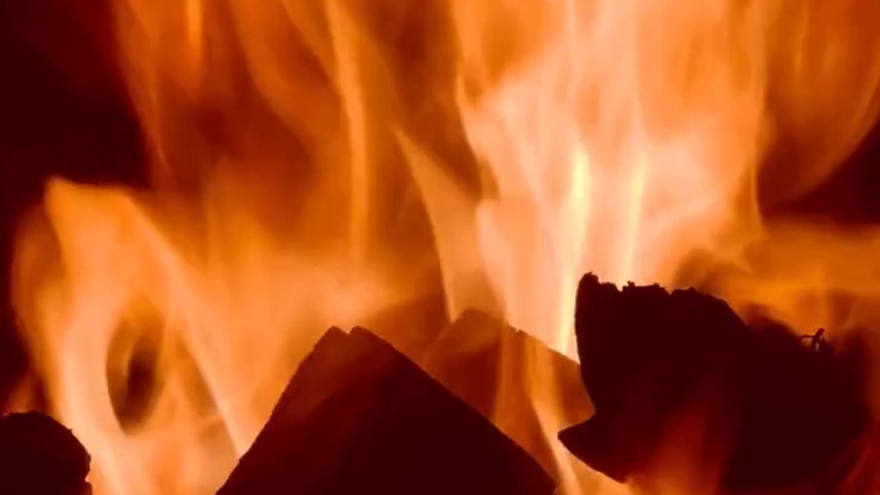 Daily Horoscope | Aries 🌟