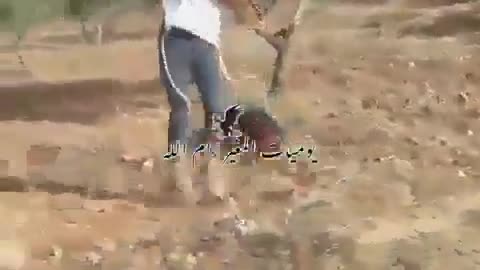 😱🌳 You Won't Believe This Shocking Attack During Harvest! | FunFM