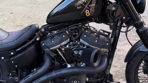 Custom 267