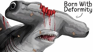 Why Being Born a Hammerhead Shark Is a Brutal Fight to Survive