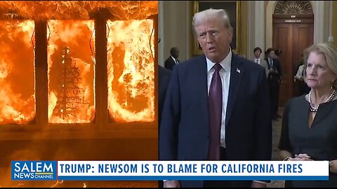 Trump Rips Newsom As California Fires Rage 'He's Protecting A Tiny Fish Instead Of His Residents'