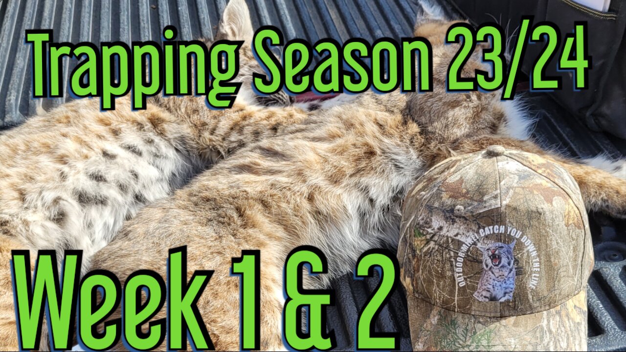 The First 2 Weeks of the 23/24 Trapping season!