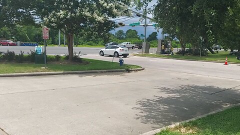 Ducks crossing the road .