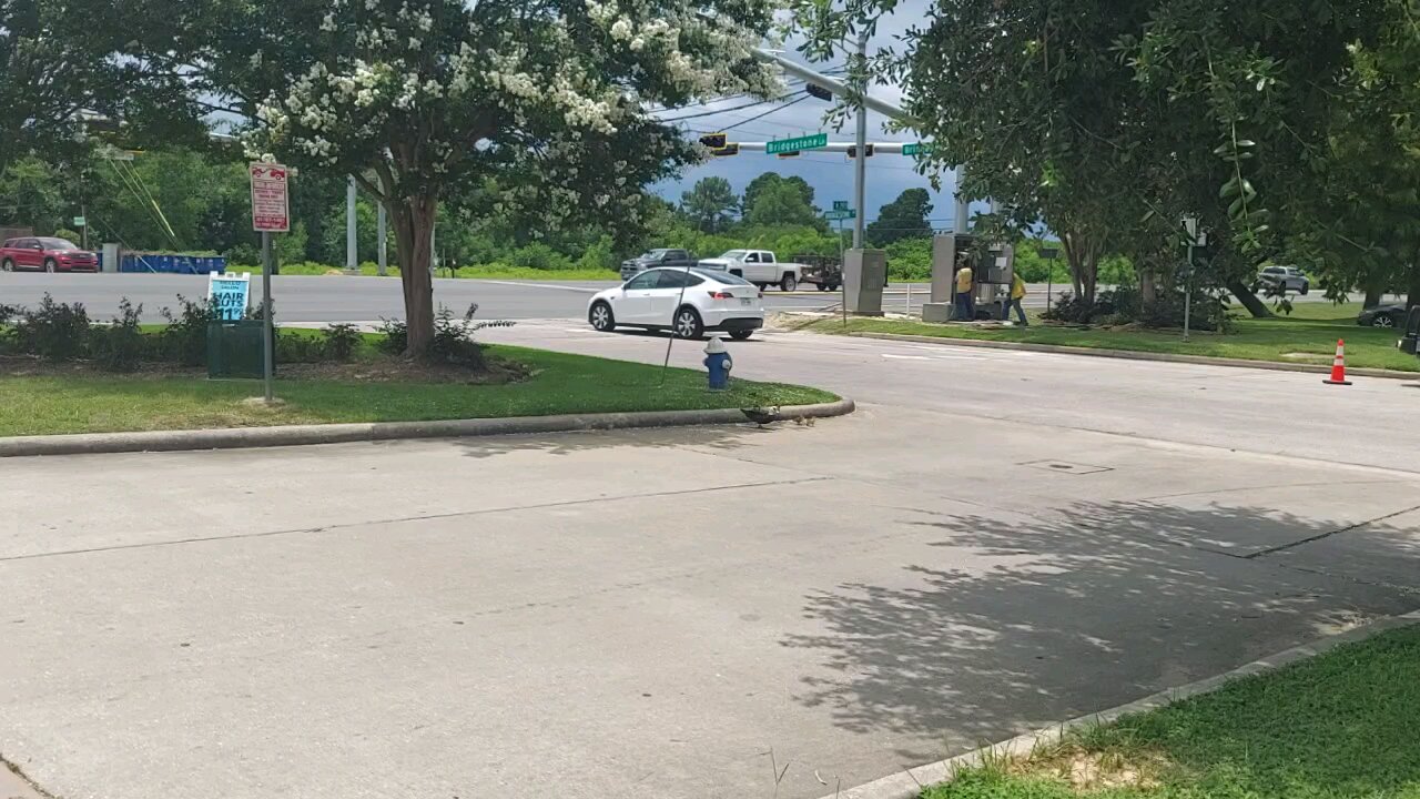 Ducks crossing the road .