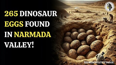 India Unearths 265 Dinosaur Eggs in Madhya Pradesh's Narmada Valley! | WION Podcast