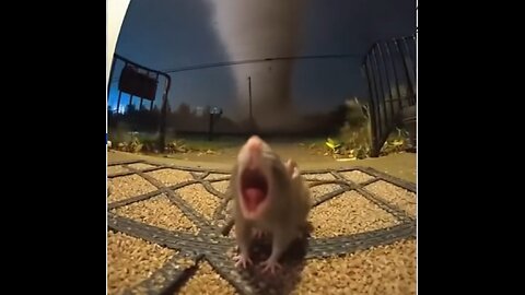 Stop the Swirl: When the World Feels Like a Tornado, Find Your Center.