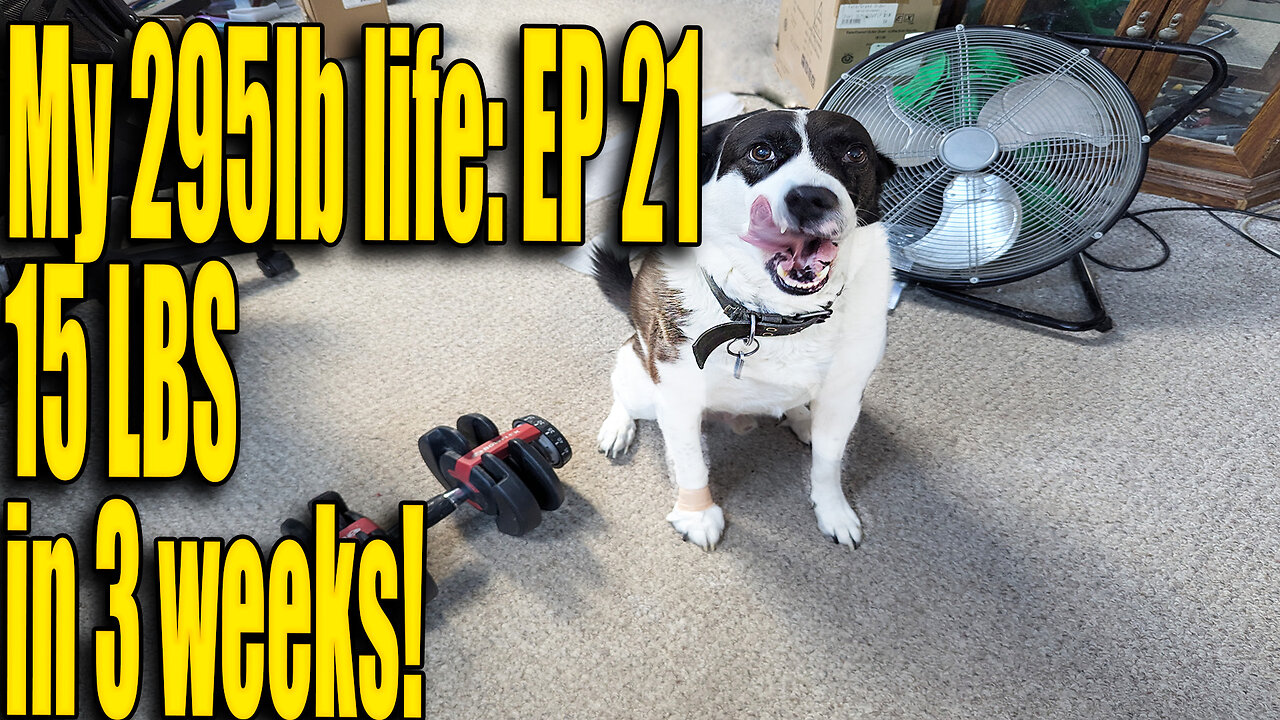 15lbs in 3 weeks?! My 295lb Life Ep. 21