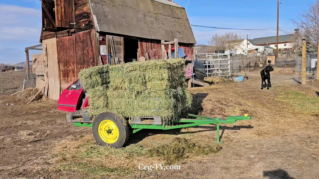 Graham Family Farm: 10:50 AM January 14th 2025