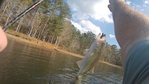 Big wind, 3 dinks - BT Brown - Great Weather, 70's!