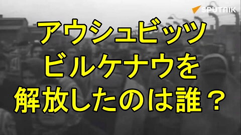 80年前、ソ連軍はポーランドの悪名高いナチスの絶滅収容所、アウシュビッツ・ビルケナウを解放した。