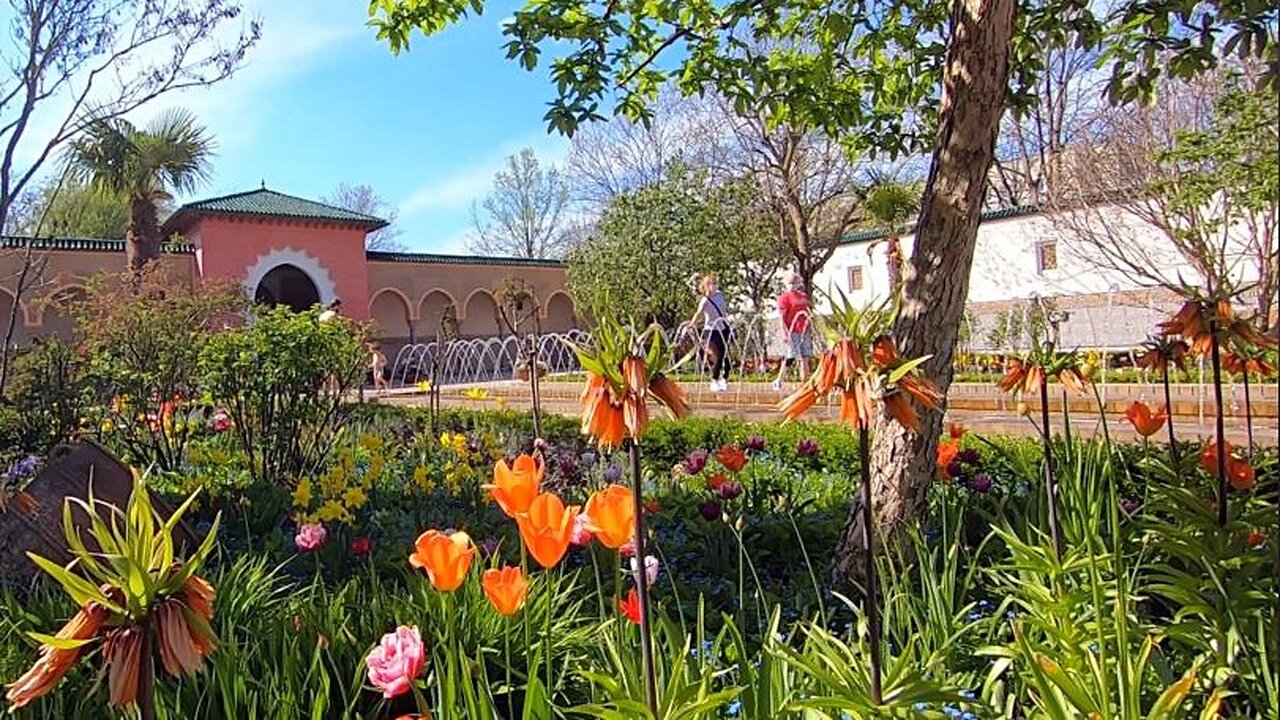 🌸 When in BERLIN, You MUST Visit these GARDENS