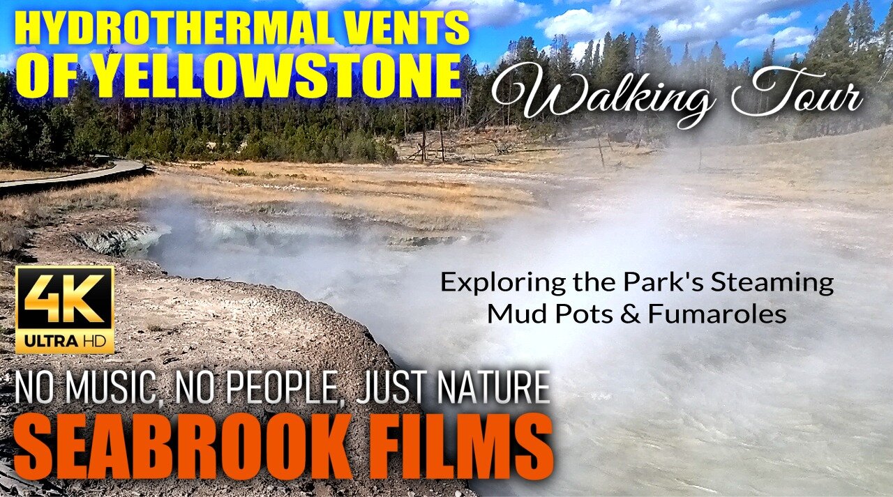 Hydrothermal Vents of Yellowstone: Exploring the Park's Steaming Mud Pots and Fumaroles