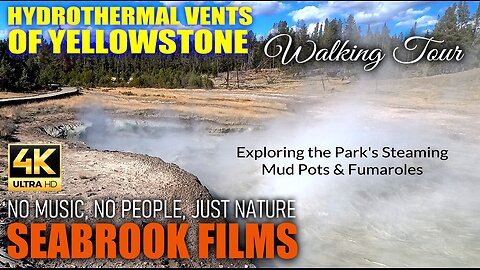 Hydrothermal Vents of Yellowstone: Exploring the Park's Steaming Mud Pots and Fumaroles