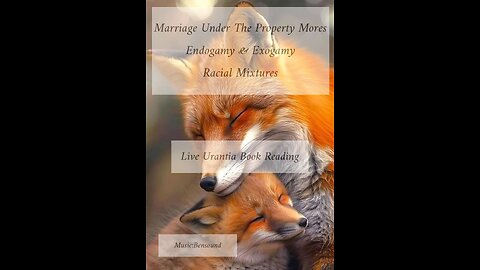 Marriage Under The Property Mores