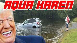 Anti-ICE Protestor Forgets to Put Car In Park And it Crashes into Lake