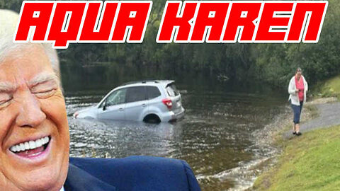 Anti-ICE Protestor Forgets to Put Car In Park And it Crashes into Lake 