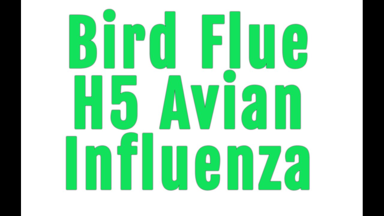 Bird Flu, Real Reason, Egg High Price, H5 Bird Flue: Avian Influenza, New Pandemic