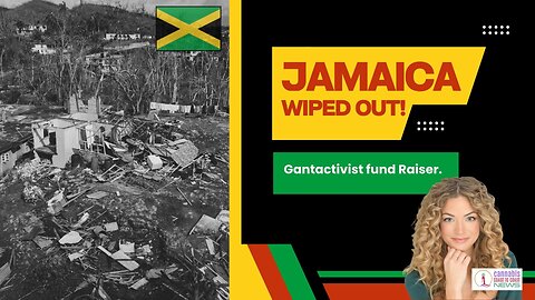 Hemp Industry in Fight for its Life! The DeAngelos Bros start the One Plant Alliance; Jamaica Tour
