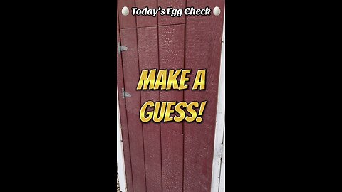 🥚 Today’s Egg Check! 🥚