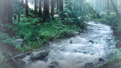 🌲 Relaxing Forest Stream Sounds | Peaceful River ASMR for Sleep & Meditation