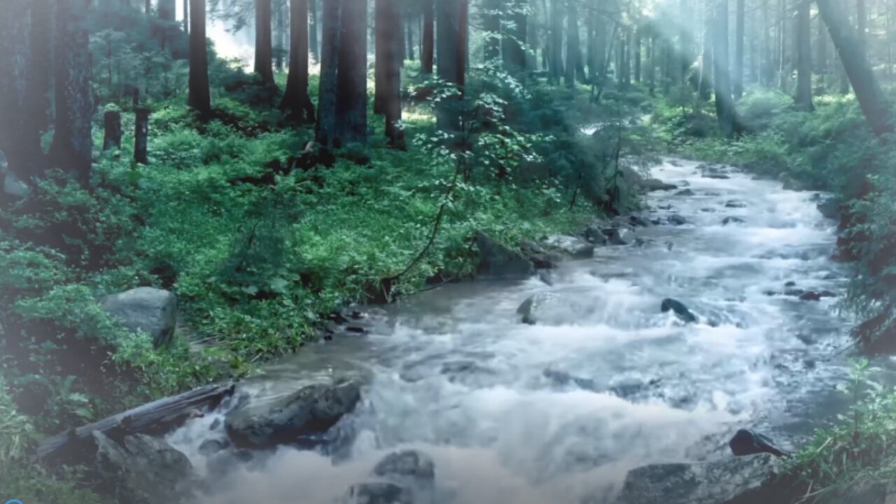 🌲 Relaxing Forest Stream Sounds | Peaceful River ASMR for Sleep & Meditation