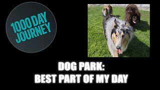 1000 Day Journey 0585 Dog Park: The Best Part of My Day Today!