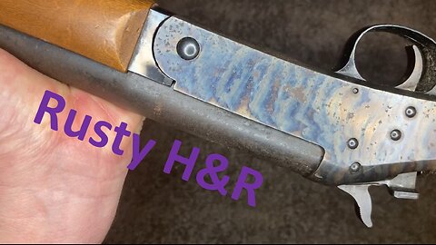 H&R Shotgun - Conservation