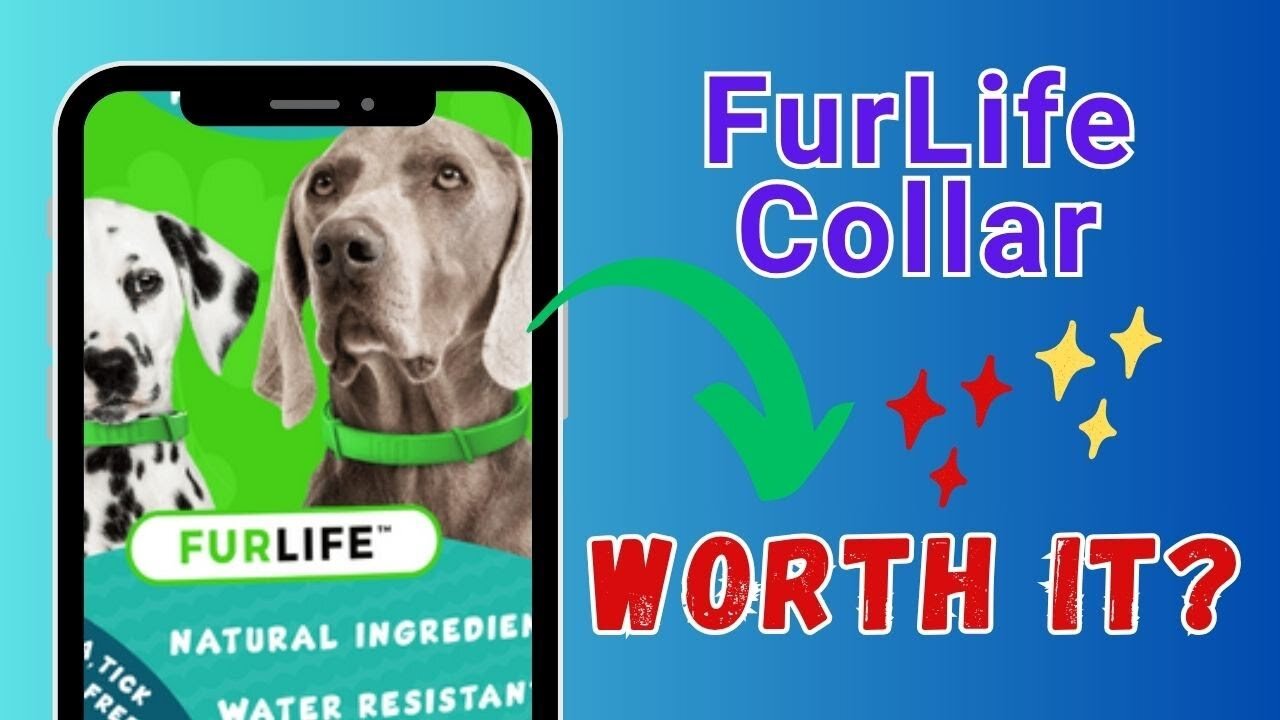 FurLife Collar