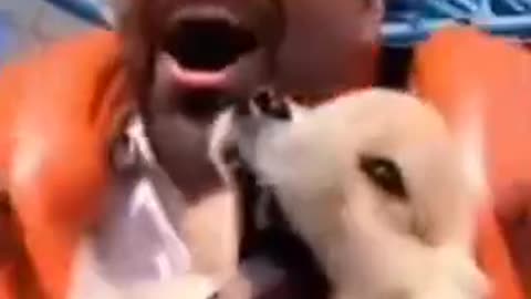 Funny videos 🤣 of dogs 🤣🐕
