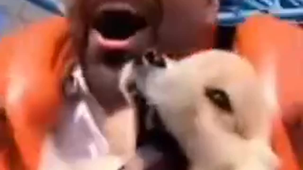 Funny videos 🤣 of dogs 🤣🐕