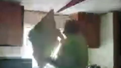 Time cut the cardboard.