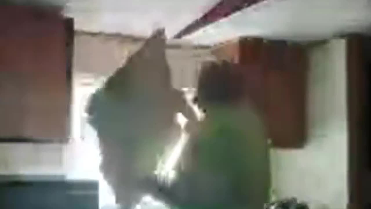 Time cut the cardboard.