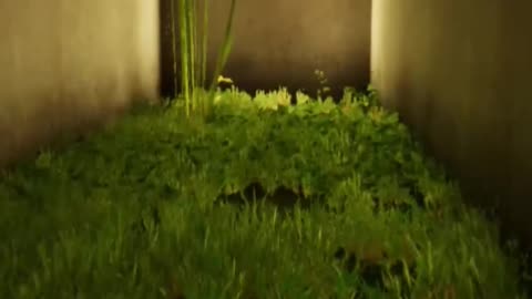 Inside The Backrooms Funny Moments | #insidethebackrooms #horror #horrorgames