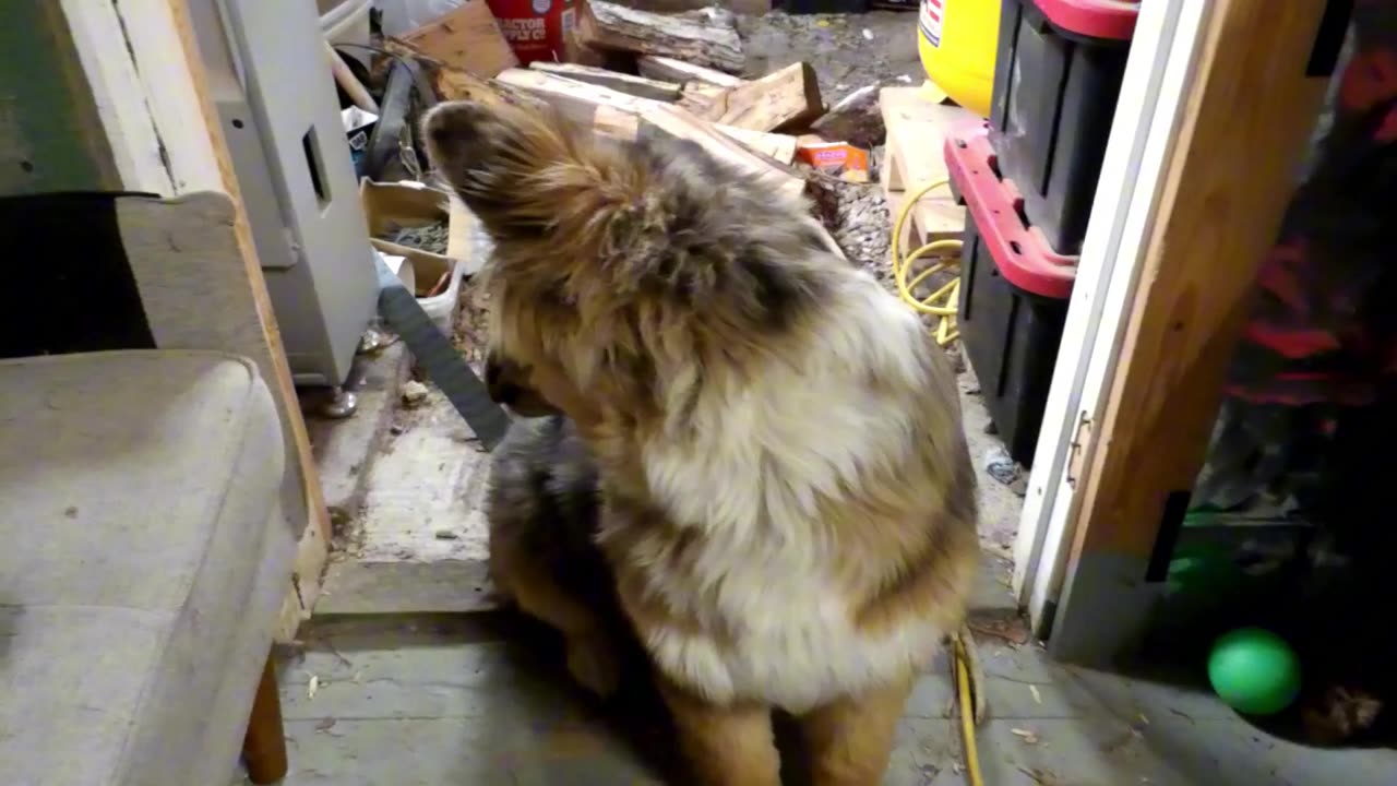 Flock it Farm: winter update